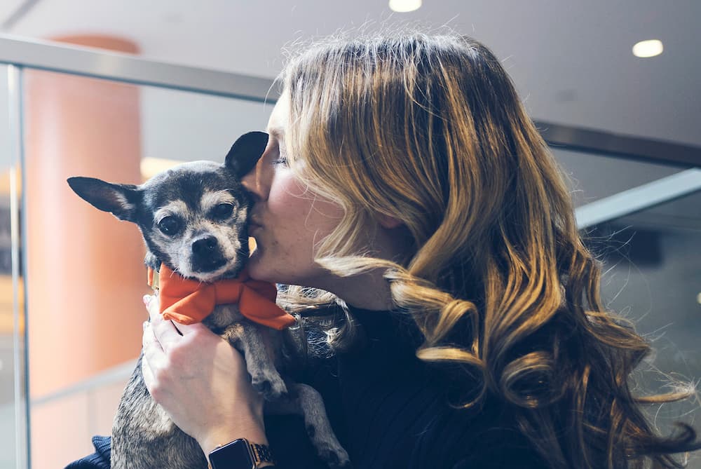 Zoetis colleague holding small dog – Zoetis