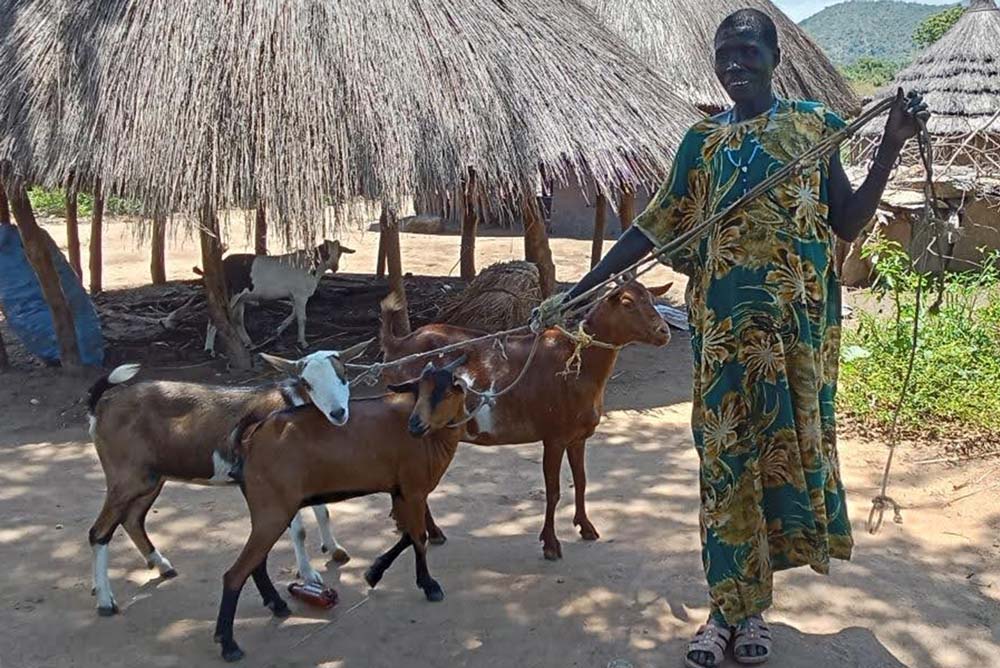 Woman with goats in South Sudan - Zoetis