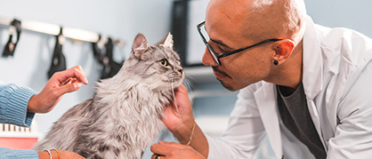 Vetenarian examining cat - Zoetis