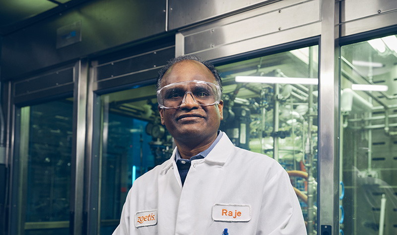 Zoetis research & development scientist - Zoetis