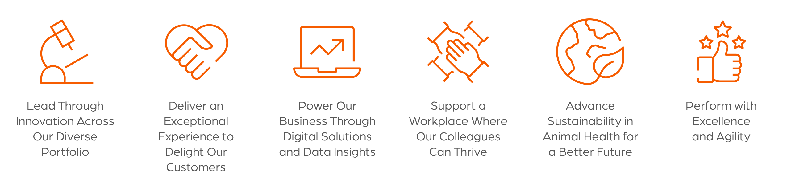 Zoetis Strategic Priorities