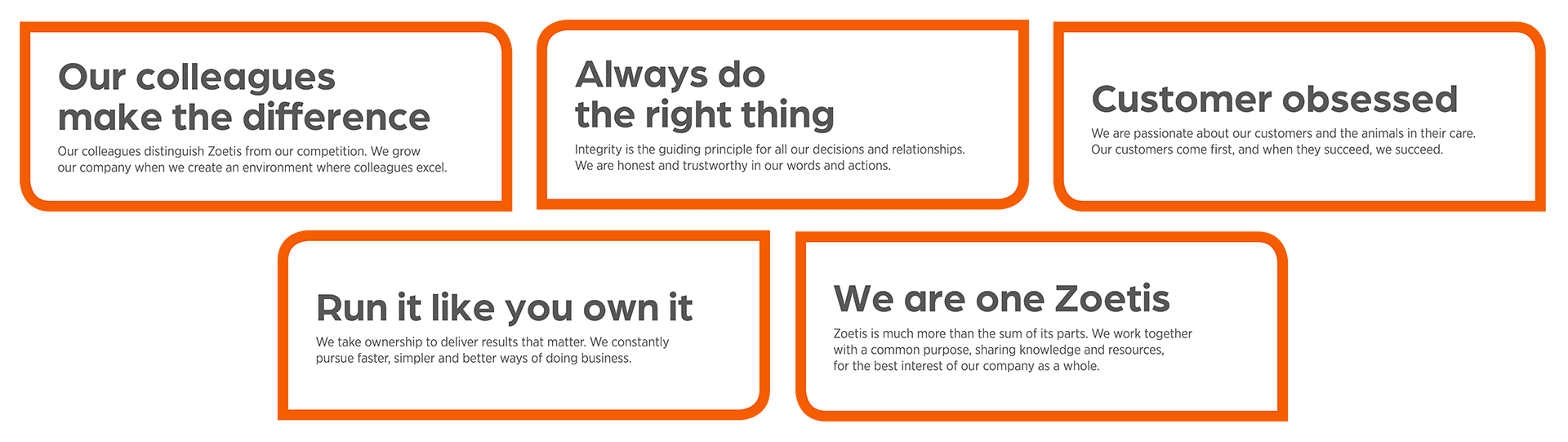 Zoetis Core Beliefs graphic - Zoetis